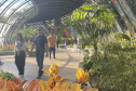 Exposição Fauna Ameaçada é Fauna a Ser Salva" atrai turistas para o Jardim Botânico de Curitiba