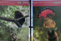 Exposição Fauna Ameaçada é Fauna a Ser Salva" atrai turistas para o Jardim Botânico de Curitiba