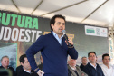 NOVO CONTORNO PATO BRANCO