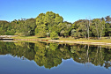 Com investimento de R$ 2,3 milhões, revitalização do Jardim Botânico de Londrina está prevista para começar neste semestre