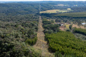 COPEL - Propriedade rural cumpre a Lei Estadual da Faixa Limpa com solução rentável e sem danos à rede elétrica