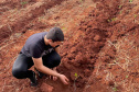 Paraná se destaca em olimpíada nacional de recuperação de ecossistemas