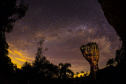 Turismo noturno no Paraná ganha força com rotas culturais, experiências sensoriais e atrações em diversas regiões