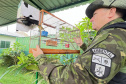 Polícia Militar do Paraná resgata 216 animais e coíbe desmatamento em área de 159 hectares durante Mês do Meio Ambiente