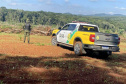 Polícia Militar do Paraná resgata 216 animais e coíbe desmatamento em área de 159 hectares durante Mês do Meio Ambiente