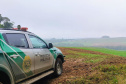 Polícia Militar do Paraná resgata 216 animais e coíbe desmatamento em área de 159 hectares durante Mês do Meio Ambiente