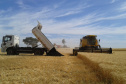 SANEPAR - Agricultores comemoram produtividade e redução de custos com adubo orgânico distribuído pela Sanepar