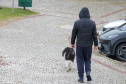 FRIO