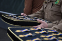 MEDALHAS