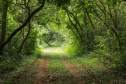 SETU - Caminhos do Peabiru
