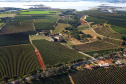 SETU - Turismo Agrotecnológico promove visitas guiadas e mostra potenciais do Paraná no setor internacional