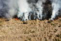  Fogo em terrenos baldios pode causar incêndios de grandes proporções