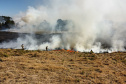  Fogo em terrenos baldios pode causar incêndios de grandes proporções