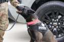 SESP POLÍCIA PENAL