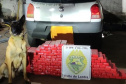 PMPR apreende mais de 900 quilos de maconha e causa prejuízo de R$ 1,9 milhão ao crime organizado