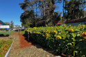 Expo Agri 2025 movimenta CEEP Manoel Ribas e setor agro de Apucarana