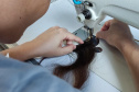 Reintegração social e solidariedade: mulheres privadas de liberdade produzem próteses capilares para pacientes com câncer