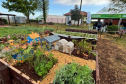 Cascavel tem evento de agroecologia com foco no inverno