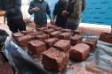OFICINA TIJOLOS ESTUDANTES ARQUITETURA