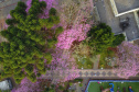 SIMEPAR PRIMAVERA