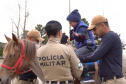 Projeto de Equoterapia da PMPR amplia atendimento com apoio da Sanepar