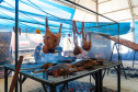 GASTRONOMIA E PRODUTOS TÍPICOS DO PARANÁ SÃO DESTAQUES NO FESTIVAL DA PRIMAVERA