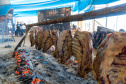 GASTRONOMIA E PRODUTOS TÍPICOS DO PARANÁ SÃO DESTAQUES NO FESTIVAL DA PRIMAVERA
