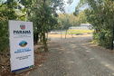 IAT investiu R$ 1,1 milhão na reestruturação do viveiro florestal de Ibiporã, no Norte do Paraná: capacidade para 200 mil mudas/ano