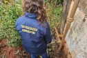 Primeira operação do IAT contra o uso irregular de recursos hídricos terminou com R$ 1 milhão em multas por danos ambientais.