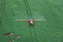 AGRO