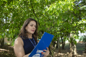 TECPAR - credenciamento de auditores