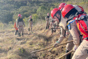 Incêndios florestais caem 50% em agosto no Paraná, mas tempo seco em setembro aumenta o risco
