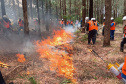 Incêndios florestais caem 50% em agosto no Paraná, mas tempo seco em setembro aumenta o risco