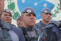 Operação Sinergia III tem ação conjunta com forças de segurança do Paraná e Polícia Militar de São Paulo