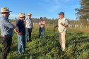 Integração lavoura-pecuária é destaque da II Mostra Tecnológica Fazenda-Modelo, em Ponta Grossa
