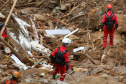 Cães de salvamento do Corpo de Bombeiros ampliam eficiência da corporação em operações de busca e resgate