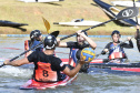 ESPORTE