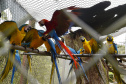 Guardiões da Fauna: IAT promove ação de educação ambiental em parceria com o Parque das Aves, em Foz do Iguaçu