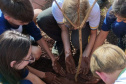 Ação de educação ambiental organizada pelo IAT estimula a troca de roupas infantis e brinquedos novos ou em bom estado por mudas de espécies nativas