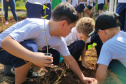 Ação de educação ambiental organizada pelo IAT estimula a troca de roupas infantis e brinquedos novos ou em bom estado por mudas de espécies nativas