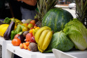  Entidades do Sistema Estadual de Agricultura organizam ações para o Dia Mundial da Alimentação