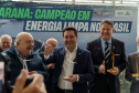 PALMAS