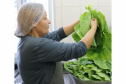 Mais de 17 mil toneladas de alimentos da agricultura familiar abastecem escolas do Paraná anualmente