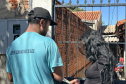  Estado e equipes municipais de saúde de Cambará se unem para disseminar informação e capturar escorpiões