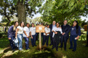 Palácio da Justiça ganha jardins de mel do Poliniza Paraná