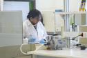 Laboratórios da Sanepar realizam mais de 7,5 milhões de análises por ano