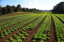Ciência a serviço do campo: Paraná investe R$ 14,7 milhões em nova fase do programa de orgânicos