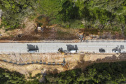 São José dos Pinhais, 23 de outubro de 2025 - Pavimentanção em concreto entre SJP e Mandirituba.