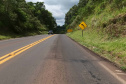PRC-158 entre Vitorino e Santa Catarina