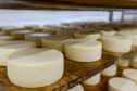 Isenção de ICMS para queijo, requeijão e doce de leite vai fortalecer produção artesanal no Paraná